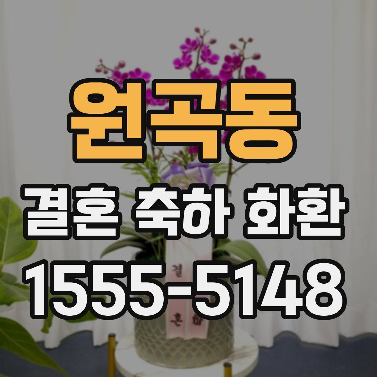 원곡동 결혼 축하 화환