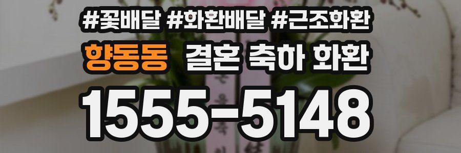 향동동 결혼 축하 화환