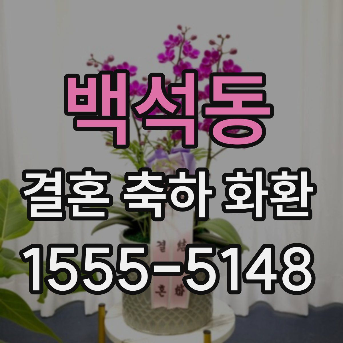 백석동 결혼 축하 화환