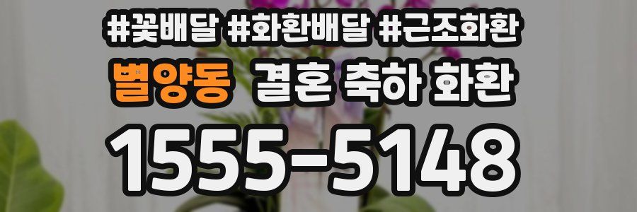 별양동 결혼 축하 화환