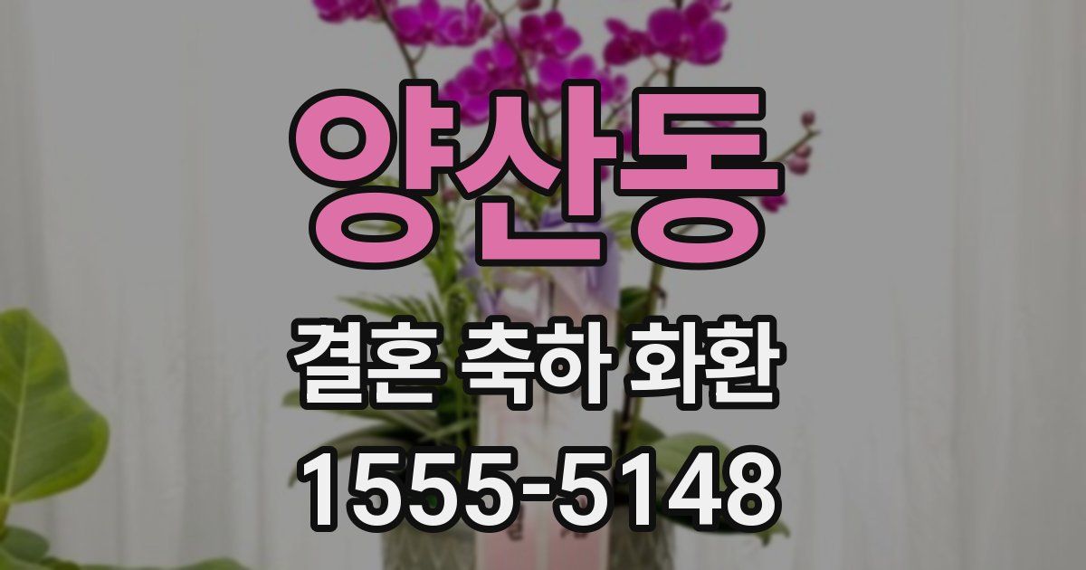 양산동 결혼 축하 화환