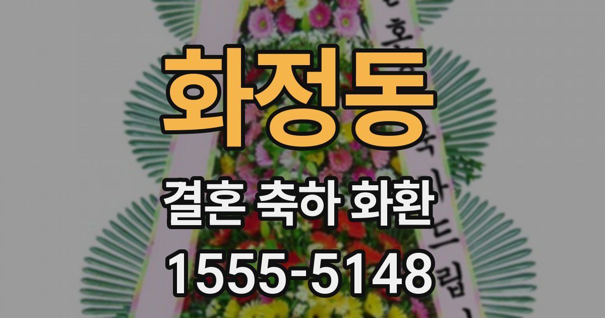 화정동 결혼 축하 화환