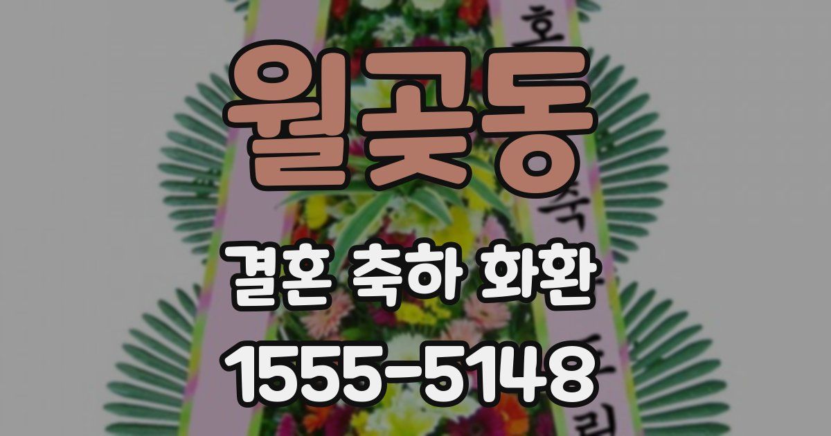 월곶동 결혼 축하 화환