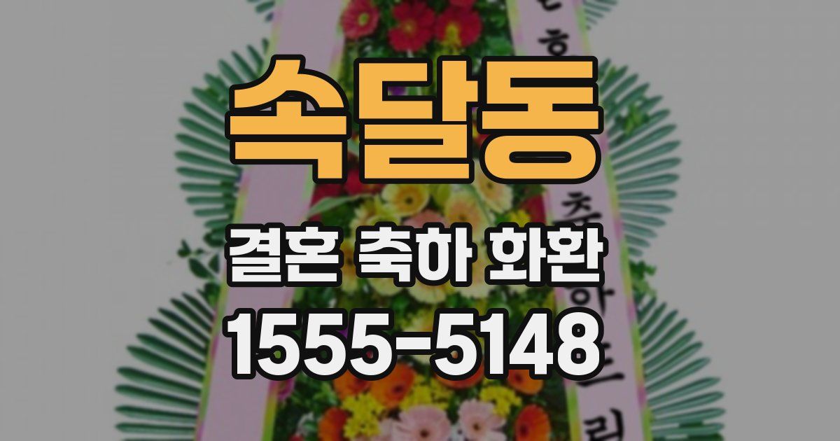 속달동 결혼 축하 화환