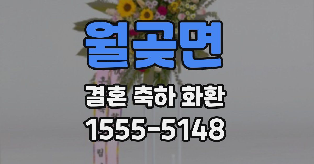 월곶면 결혼 축하 화환