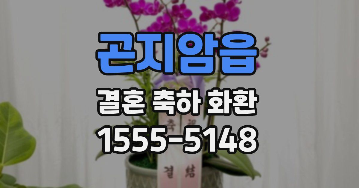 곤지암읍 결혼 축하 화환