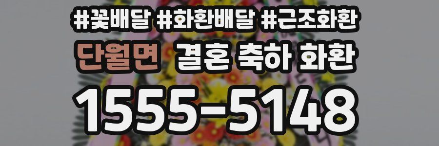 단월면 결혼 축하 화환