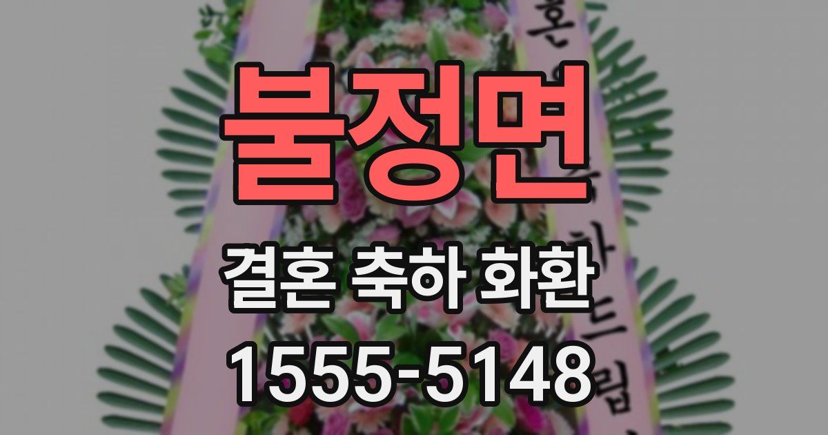 불정면 결혼 축하 화환