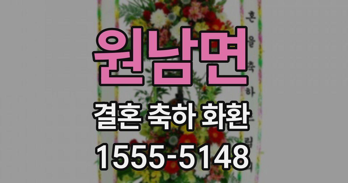 원남면 결혼 축하 화환