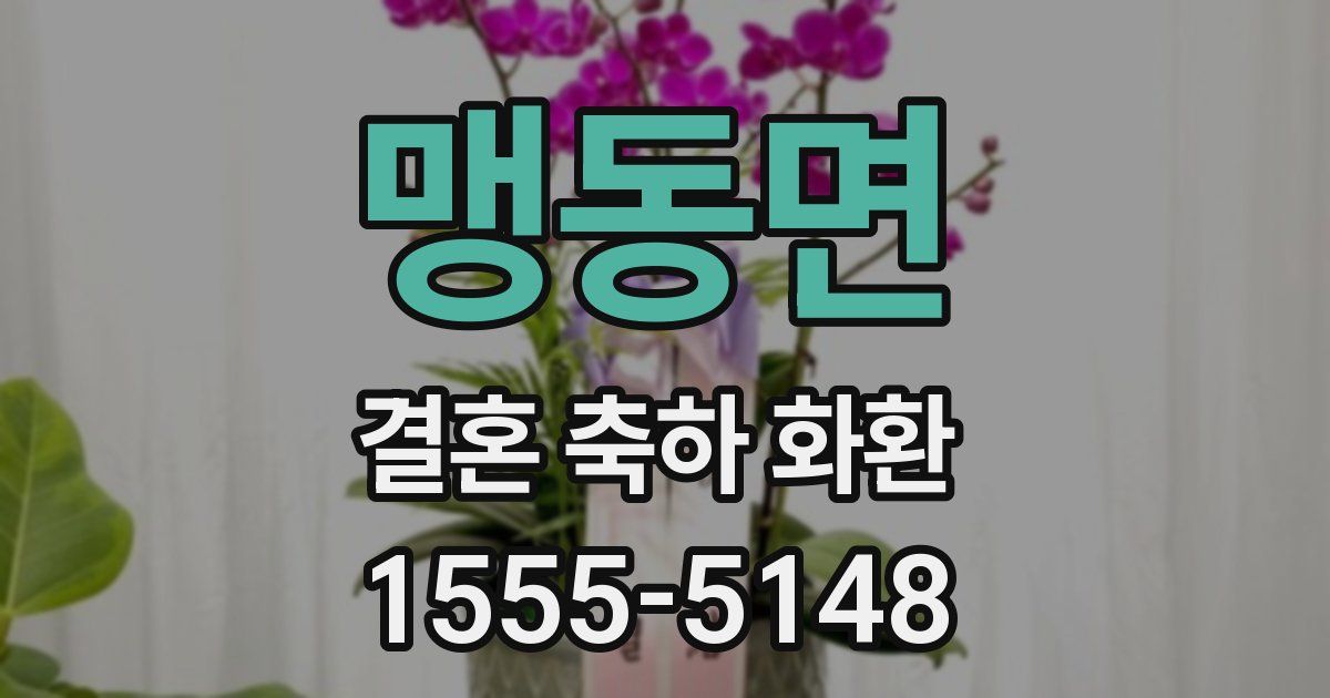 맹동면 결혼 축하 화환