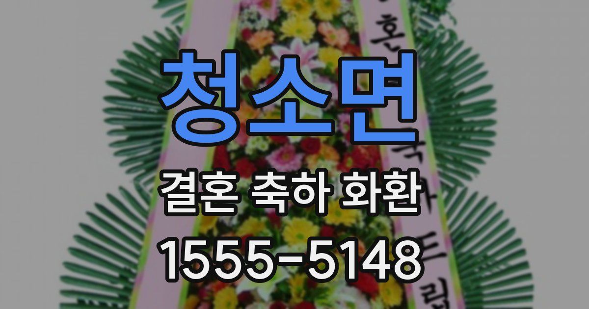 청소면 결혼 축하 화환