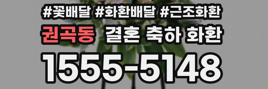 권곡동 결혼 축하 화환