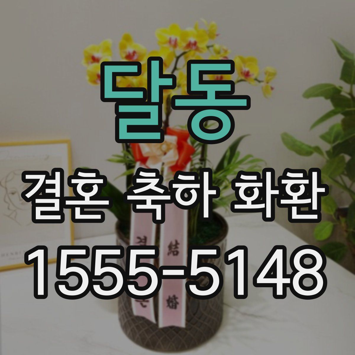 달동 결혼 축하 화환