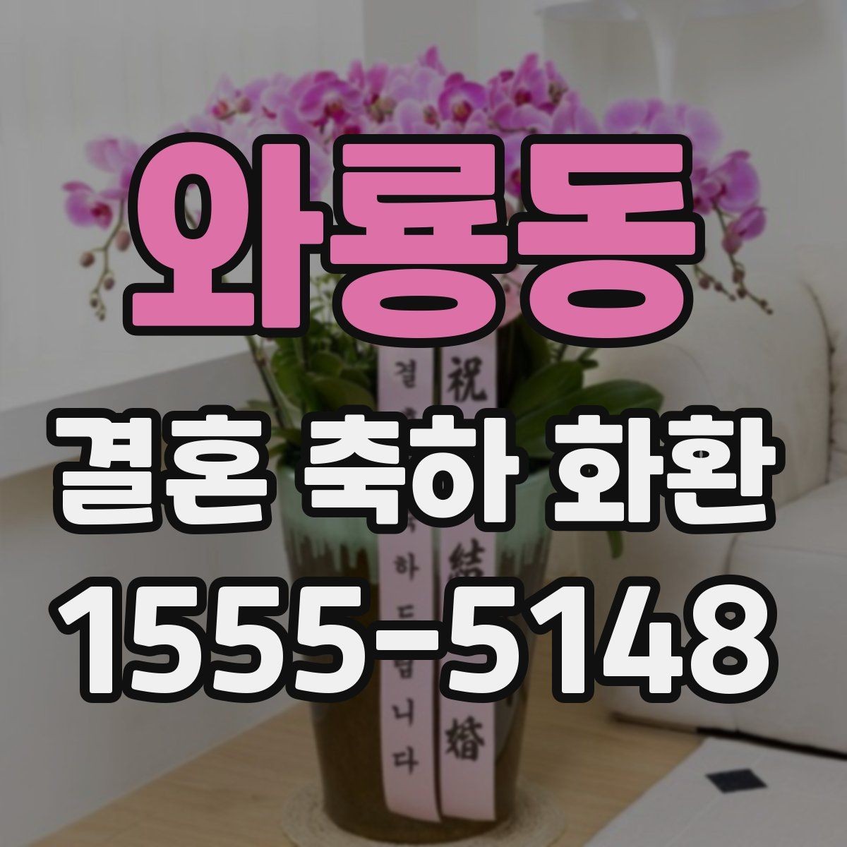 와룡동 결혼 축하 화환 꽃 신선도 확인하는 기준