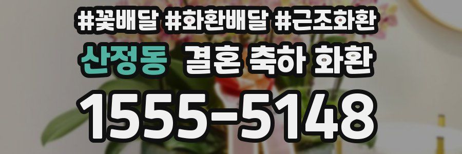 산정동 결혼 축하 화환