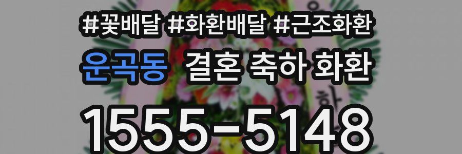 운곡동 결혼 축하 화환