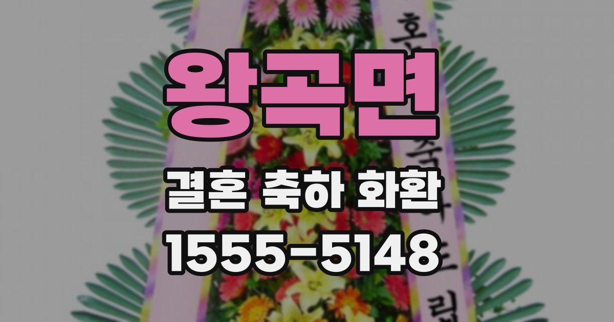 왕곡면 결혼 축하 화환