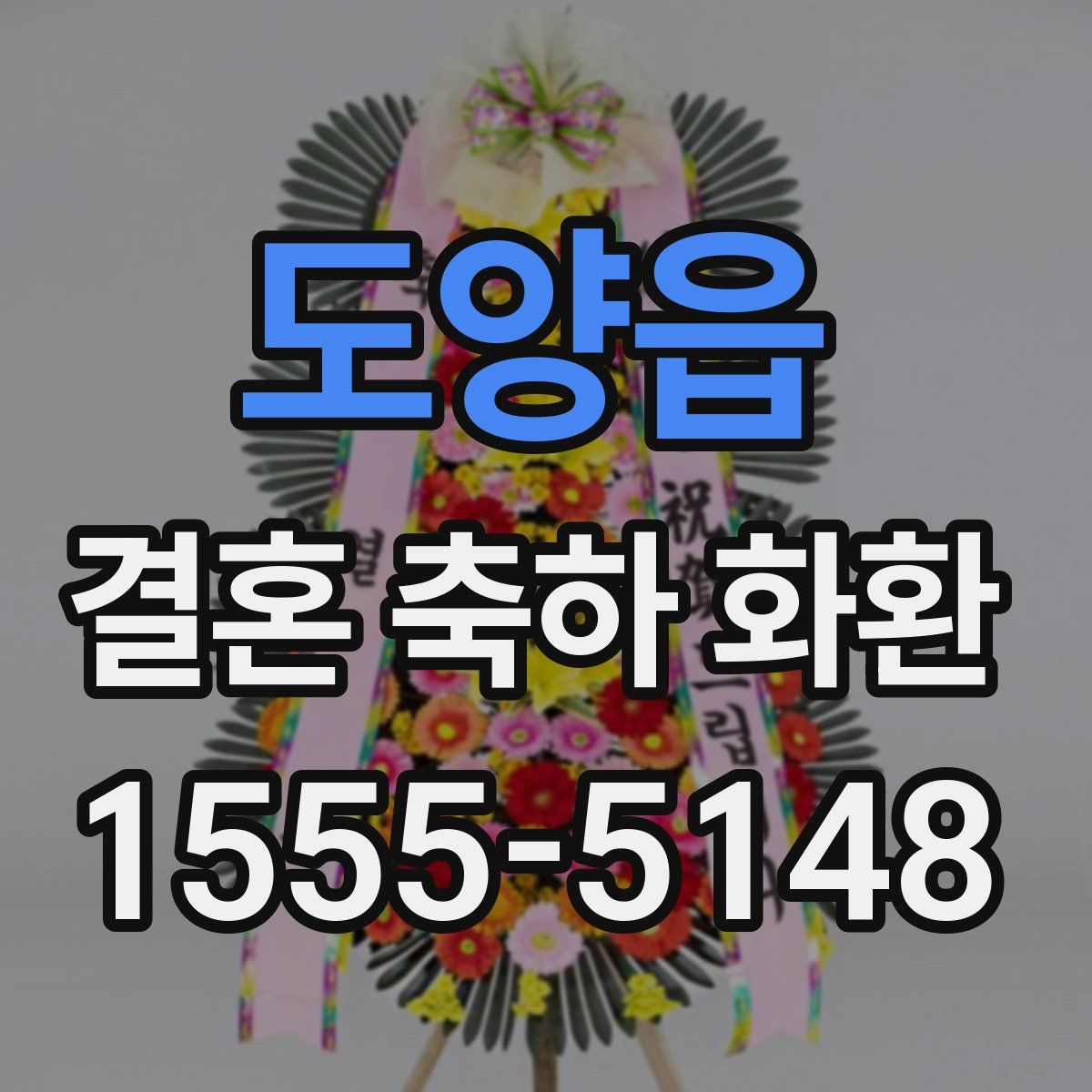 도양읍 결혼 축하 화환