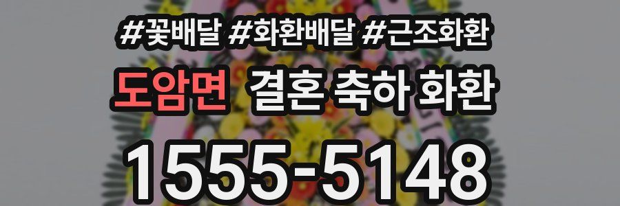 도암면 결혼 축하 화환