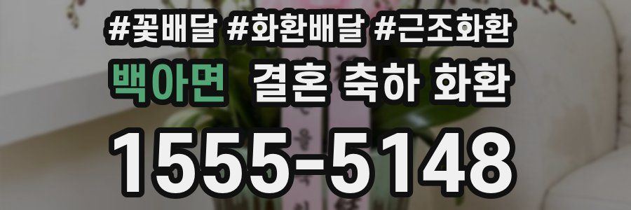 백아면 결혼 축하 화환