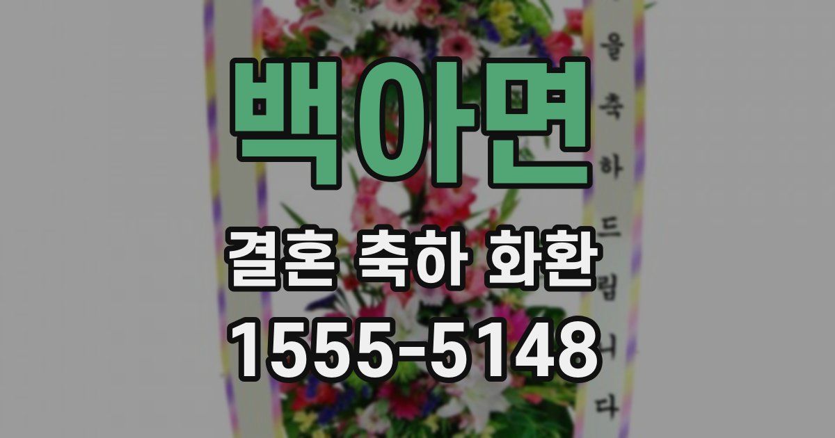백아면 결혼 축하 화환