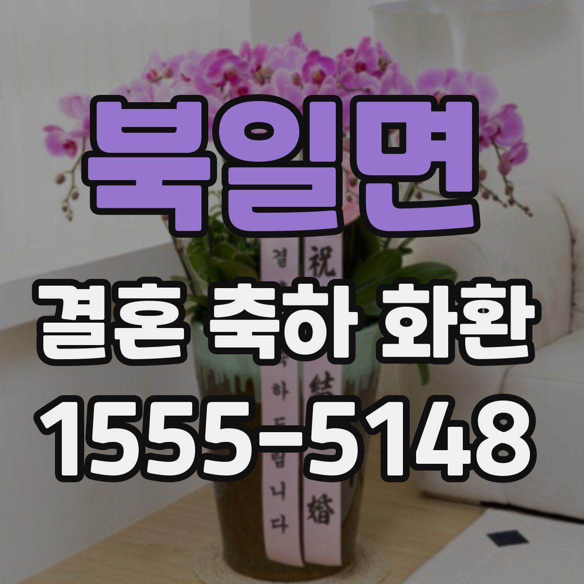북일면 결혼 축하 화환