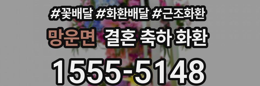 망운면 결혼 축하 화환