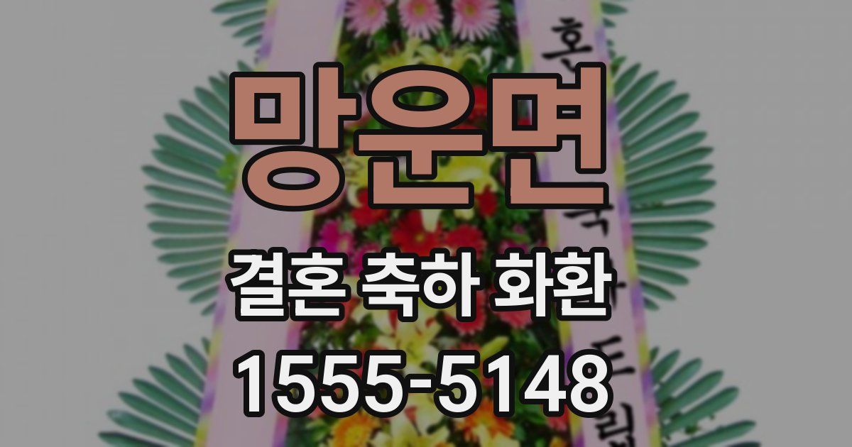 망운면 결혼 축하 화환