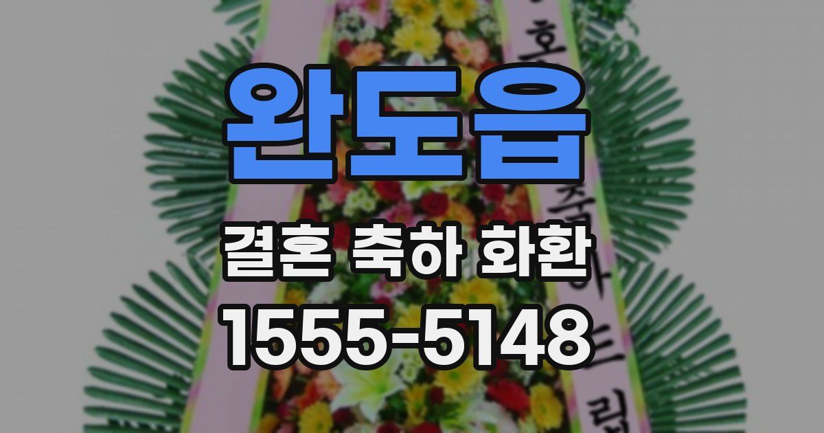 완도읍 결혼 축하 화환