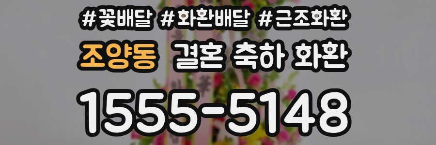 조양동 결혼 축하 화환