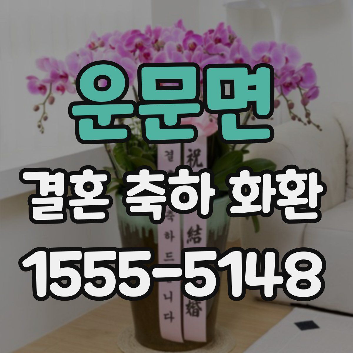 운문면 결혼 축하 화환