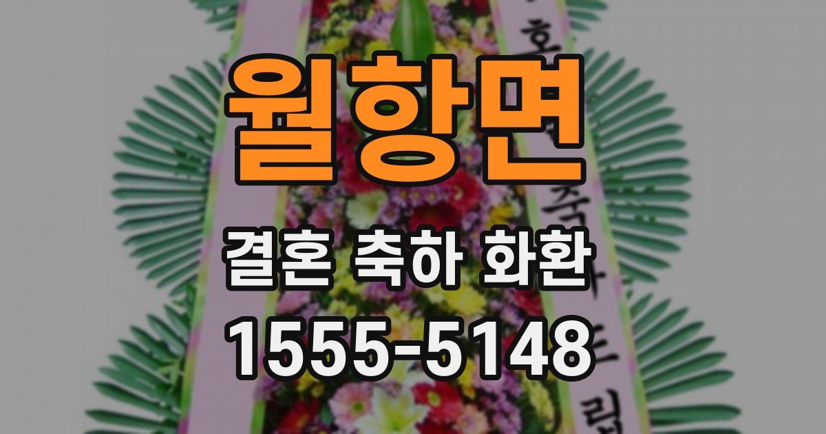 월항면 결혼 축하 화환