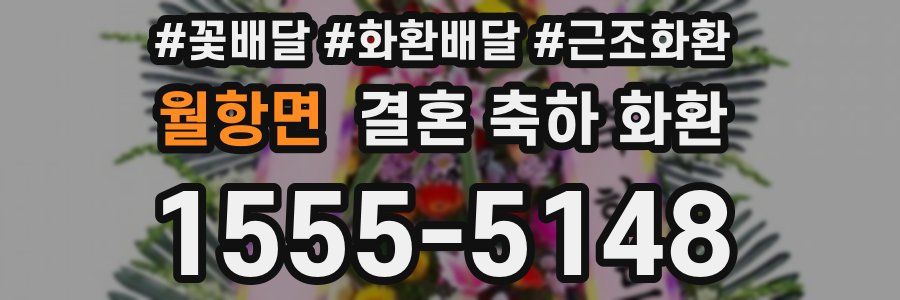 월항면 결혼 축하 화환