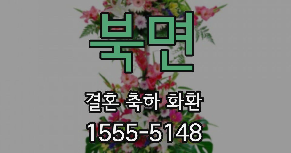 북면 결혼 축하 화환
