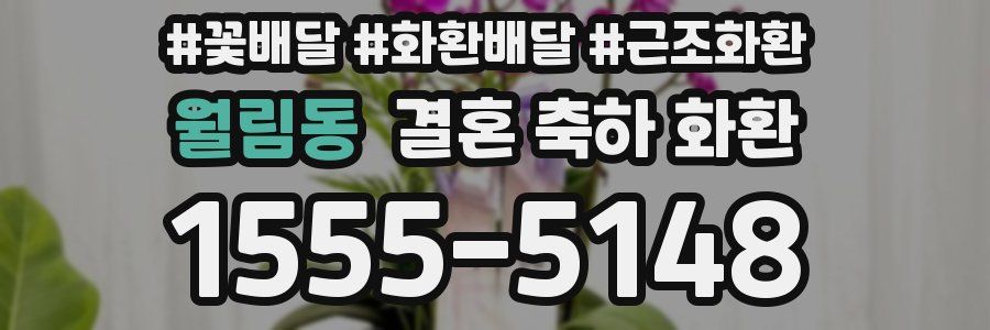 월림동 결혼 축하 화환
