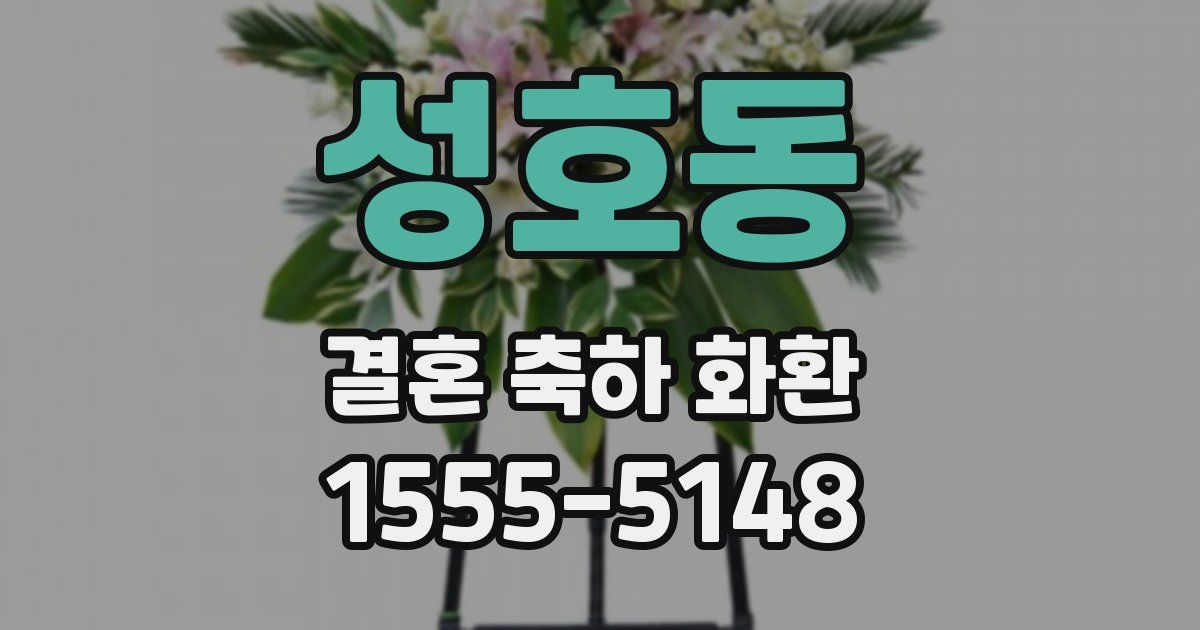 성호동 결혼 축하 화환