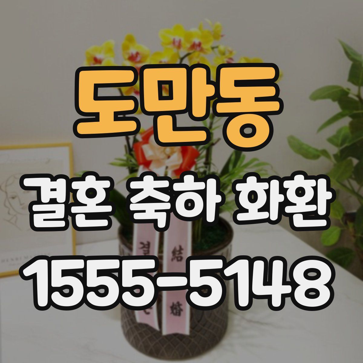 도만동 결혼 축하 화환