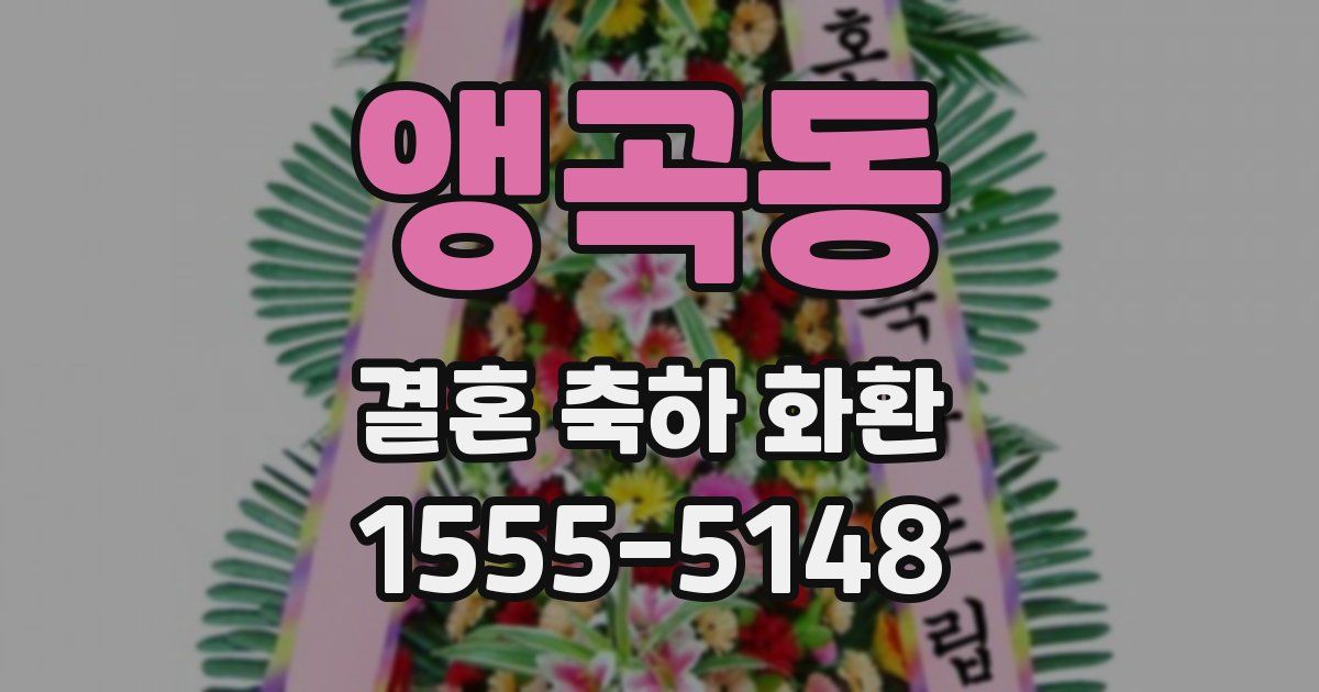 앵곡동 결혼 축하 화환