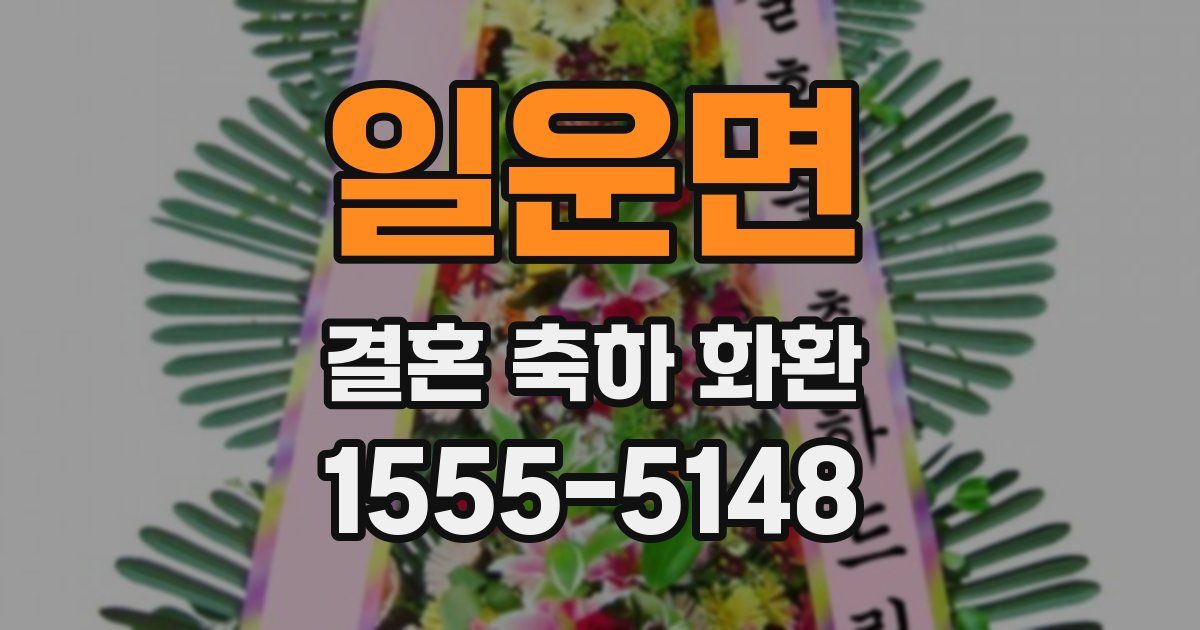 일운면 결혼 축하 화환