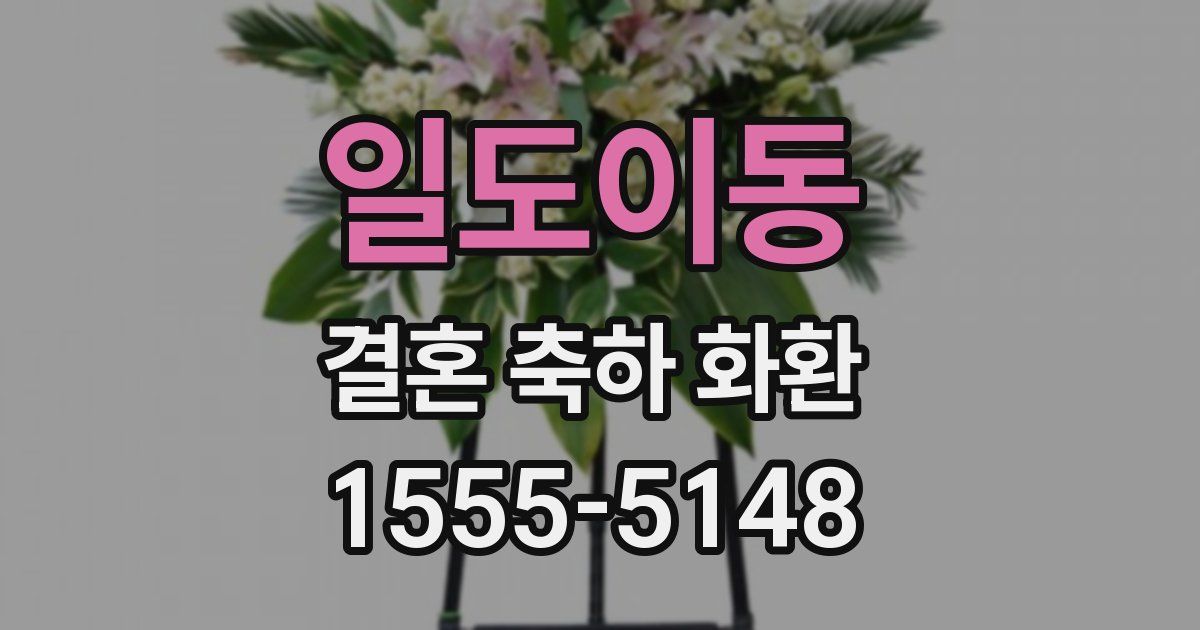 일도이동 결혼 축하 화환