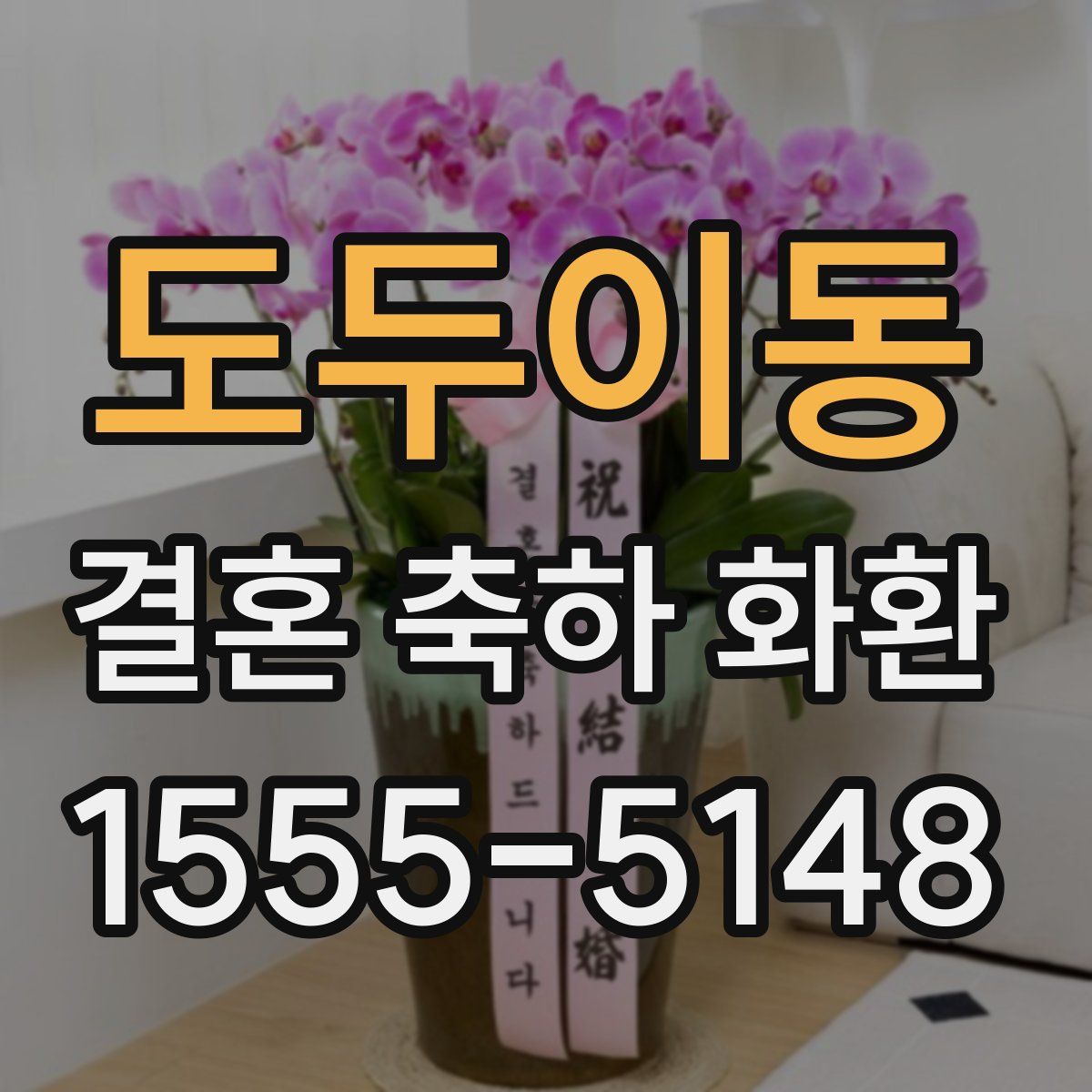도두이동 결혼 축하 화환