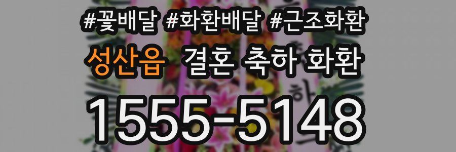 성산읍 결혼 축하 화환