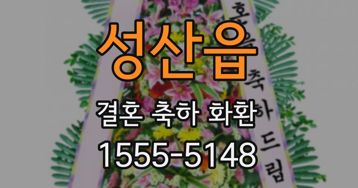 성산읍 결혼 축하 화환