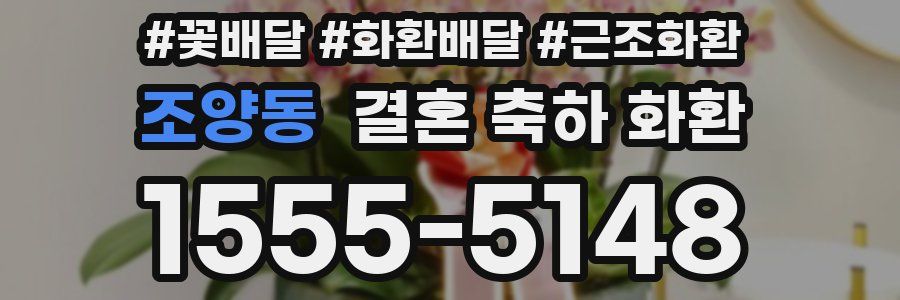 조양동 결혼 축하 화환