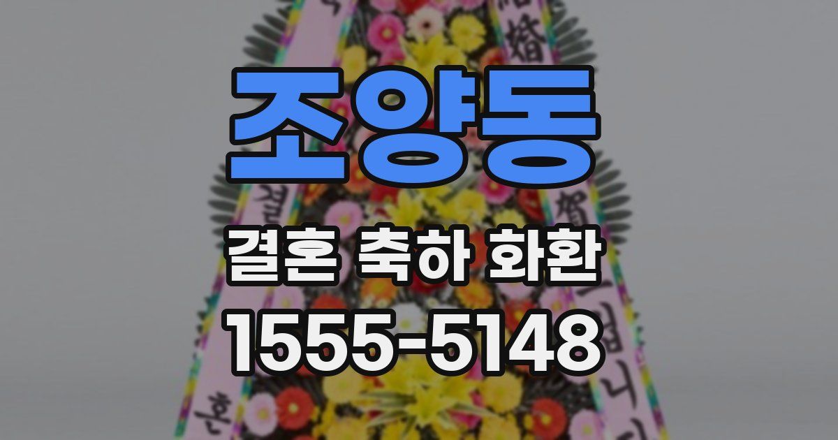 조양동 결혼 축하 화환
