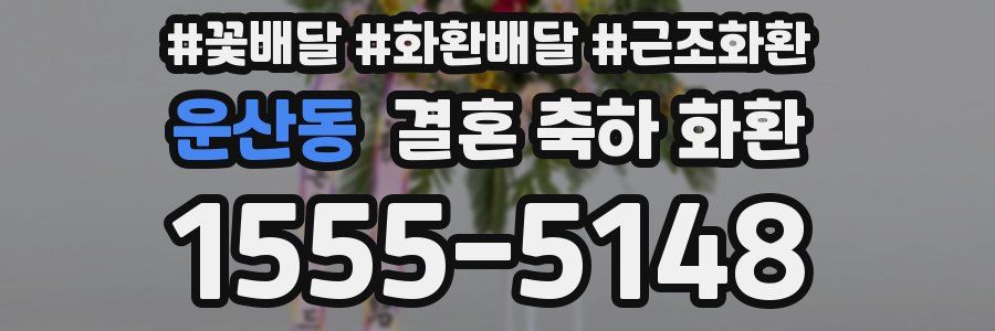 운산동 결혼 축하 화환