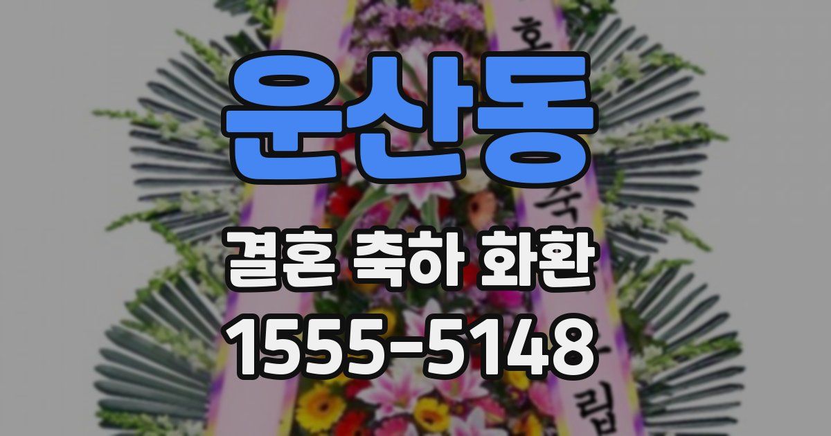 운산동 결혼 축하 화환