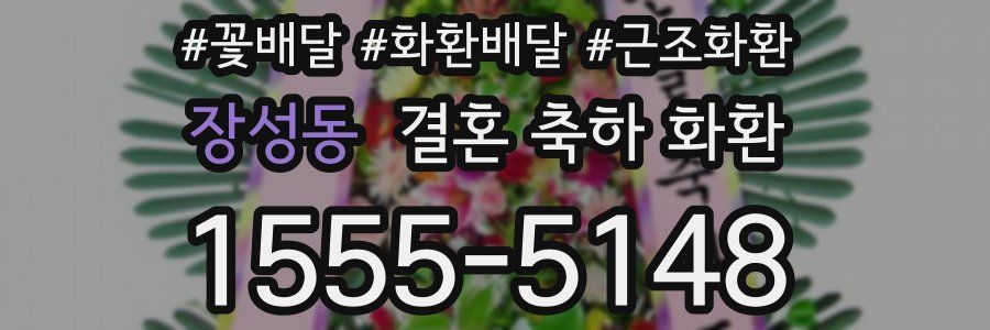 장성동 결혼 축하 화환