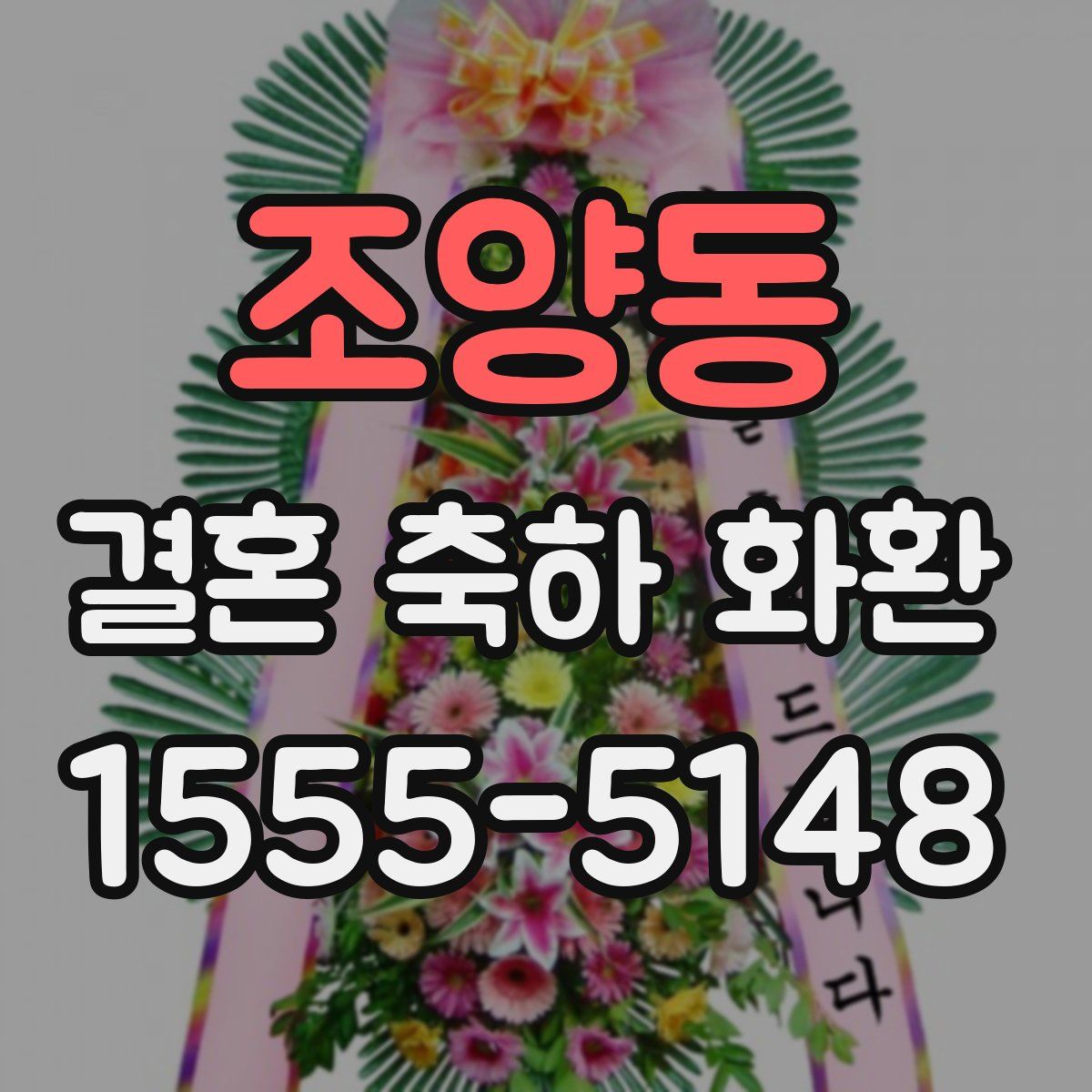 조양동 결혼 축하 화환