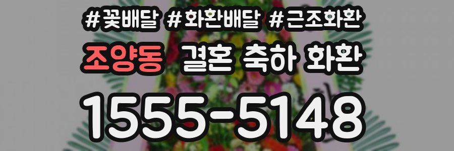 조양동 결혼 축하 화환